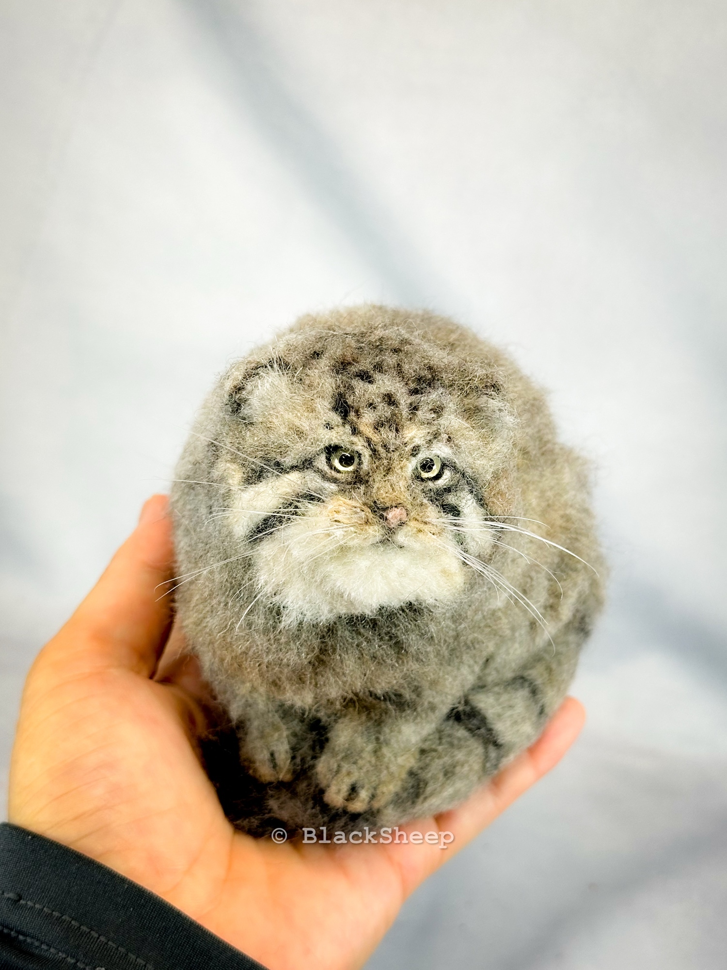 羊毛フェルト マヌルネコ - Black Sheep Needle Felting Animals