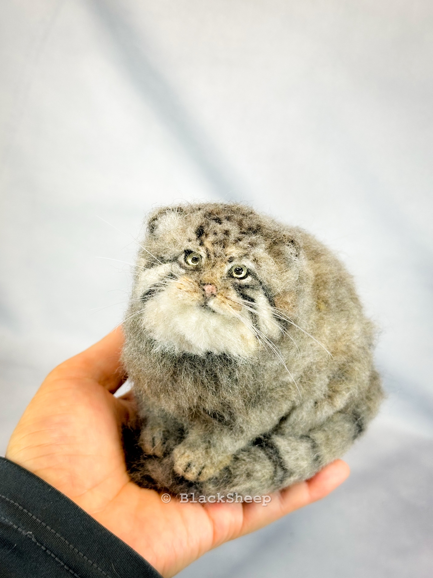 羊毛フェルト マヌルネコ - Black Sheep Needle Felting Animals