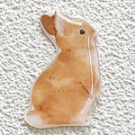 うさぎ　専用