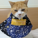 お月見ドレス
