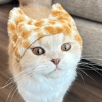 【キリンなりきり猫耳ファー帽子】キリン柄　猫帽子　猫用　猫キャップ　猫耳型　猫耳帽子　アニマル柄　アニマル　キリン　キリンさん　ファー帽子　ファー　秋冬帽子　新作　ペット帽子　動物柄