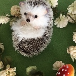 まるまりはりねずみのぬいぐるみ