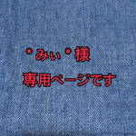 ＊みぃ＊様専用ページです