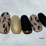 No345☆ジェルネイルチップ☆付け爪☆ニュアンスレオパード×ブラック☆マット加工☆秋冬☆大人ネイル