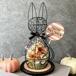 数量限定！ハロウィンキャットの秋のお花畑