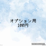 オプション用100円ページ