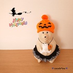 しろくま貯金箱用　　　　　　　　　　　🎃 ハロウィン かぼちゃのニット帽🎃