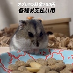 オプション料金700円各種用