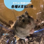 オプション料金500円各種用