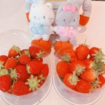 🎀ぽよ様専用アイテム🎀