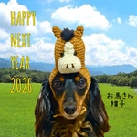 お馬さん帽子★2026午年《犬猫ペット用》