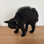 やんのか猫さん