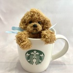 ぶら下がるふわもこテディプードル🐩 かごやパソコンのディスプレイなど、ちょこんとぶら下がる可愛い子🩷