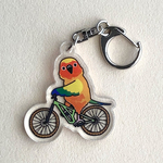 前みて！前！アクリルキーホルダー（コガネメキシコインコ）