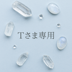 Tさま専用ページ