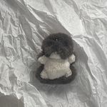 くろいもぐら(？)