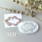 H31