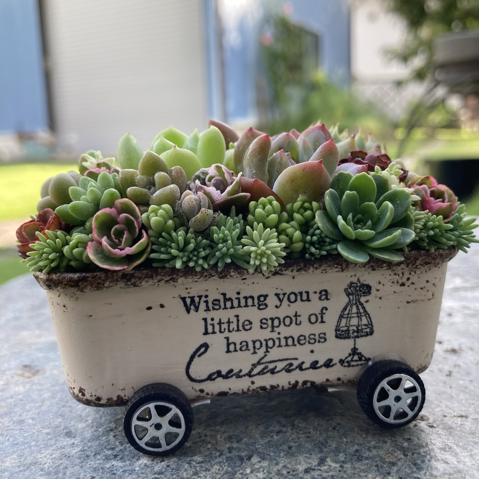 豪華❣️そのまま飾れる寄せ植え❣️オーダー品＊ 多肉植物寄せ植え そのまま飾れる ブーケ寄せ オーダー制