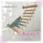 『小鳥のはしご』　No.12 インコ　ブランコ　おもちゃ　文鳥　バードトイ
