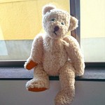 くたくまさん🐻青オメメ