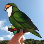 【zin0707様専用】ステンドグラス　小桜インコ　サンキャッチャー　【鳥　小鳥　インコ】