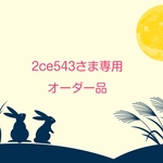 2ce543さま専用オーダー品