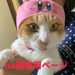 😸ha様専用ページ💠