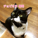 【チョビさま 専用】フルーツ系チャーム