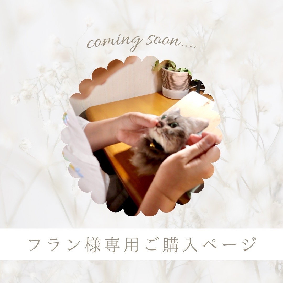 1番人気》羊毛フェルト オーダーメイドペット猫 フレーム猫