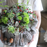 緑のきらめきの切り株