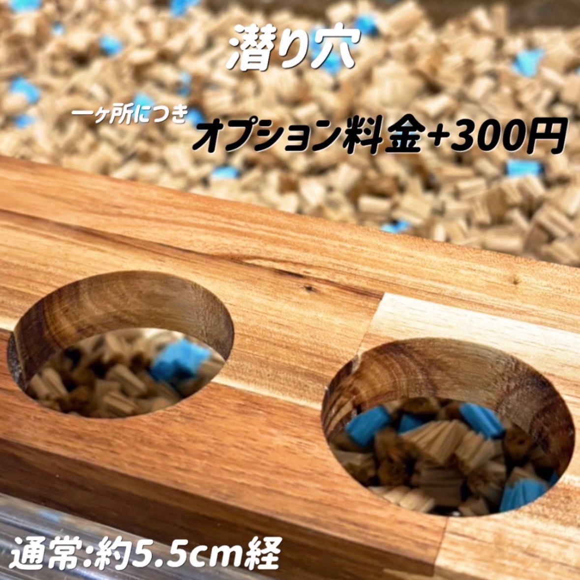 ハムスター グラスハーモニー450専用ロフト 階段付属 - 【すもあ