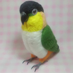 リアルサイズ♪ ズグロシロハラインコ  Black-headed Caique 黒頭鸚鵡 羊毛フィギュア 羊毛フェルト 鳥のオブジェ リアルバード 受注制作