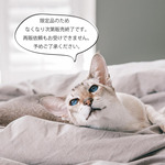 6月の新作🎀 TORORO（丸りぼん・M）＊猫の首輪/レッド&デニム