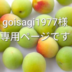 goisagi1977様専用ページ　ミニチュア　　梅