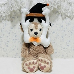 犬用❤︎顔出しシリーズ❤︎ハロウィン❤︎お化け👻