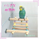『小鳥のハシゴな休憩所』No15 インコ　はしご　とまり木　おもちゃ　ハシゴ
