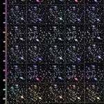 レジン封入シート.SE.56星座冬春秋夏ホロ20mmハガキ