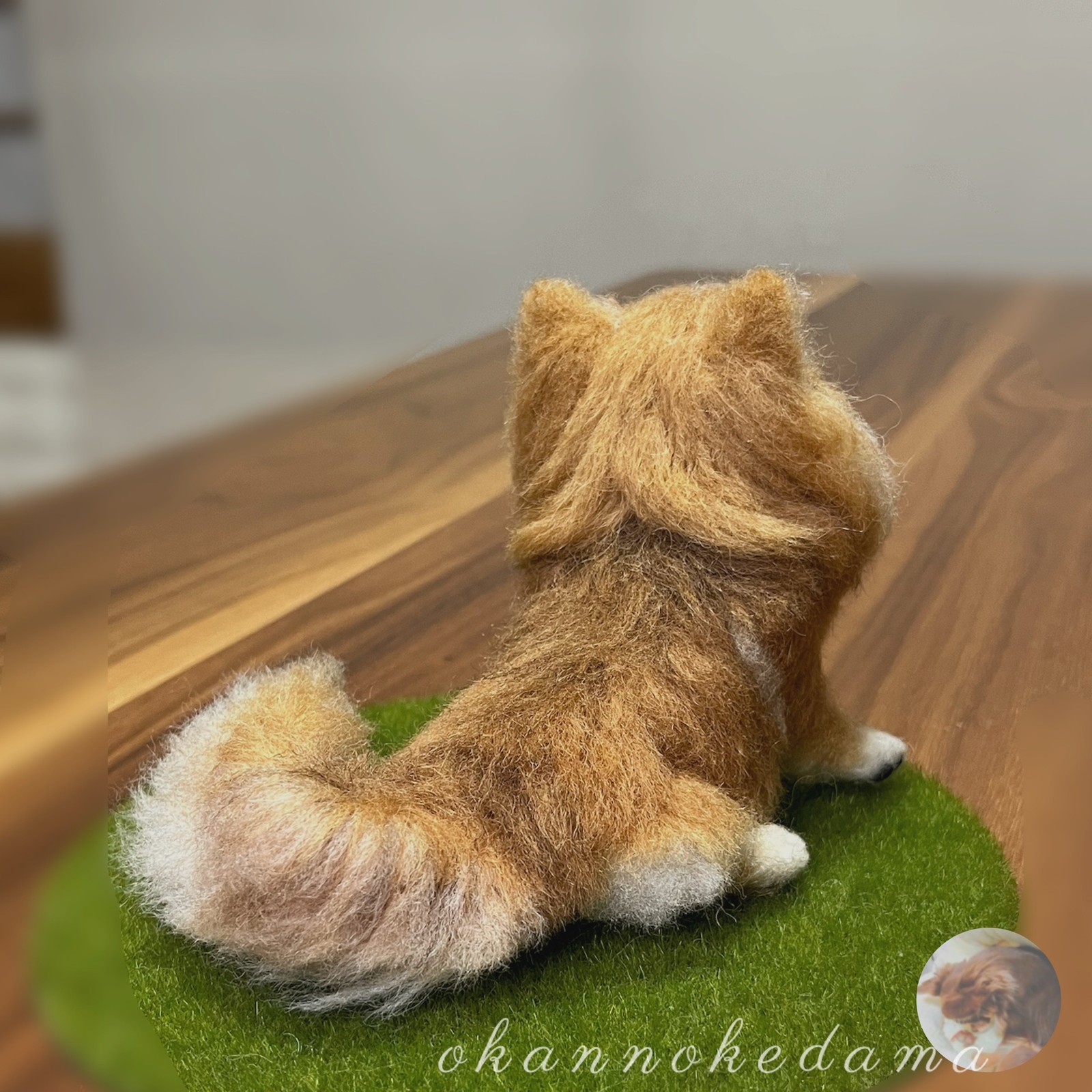チワワン様専用窓口 たんぽぽの綿毛⚪️🌱チワワ オーダーメイド 羊毛