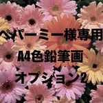 オーダーメイド色鉛筆画(A4サイズ)