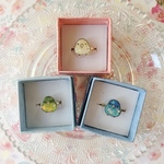 ずっと一緒リング💍サザナミインコ