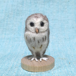 フクロウのフクくん