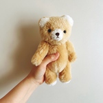 takesabu様ご注文　teddy