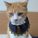 ゴシックハロウィン