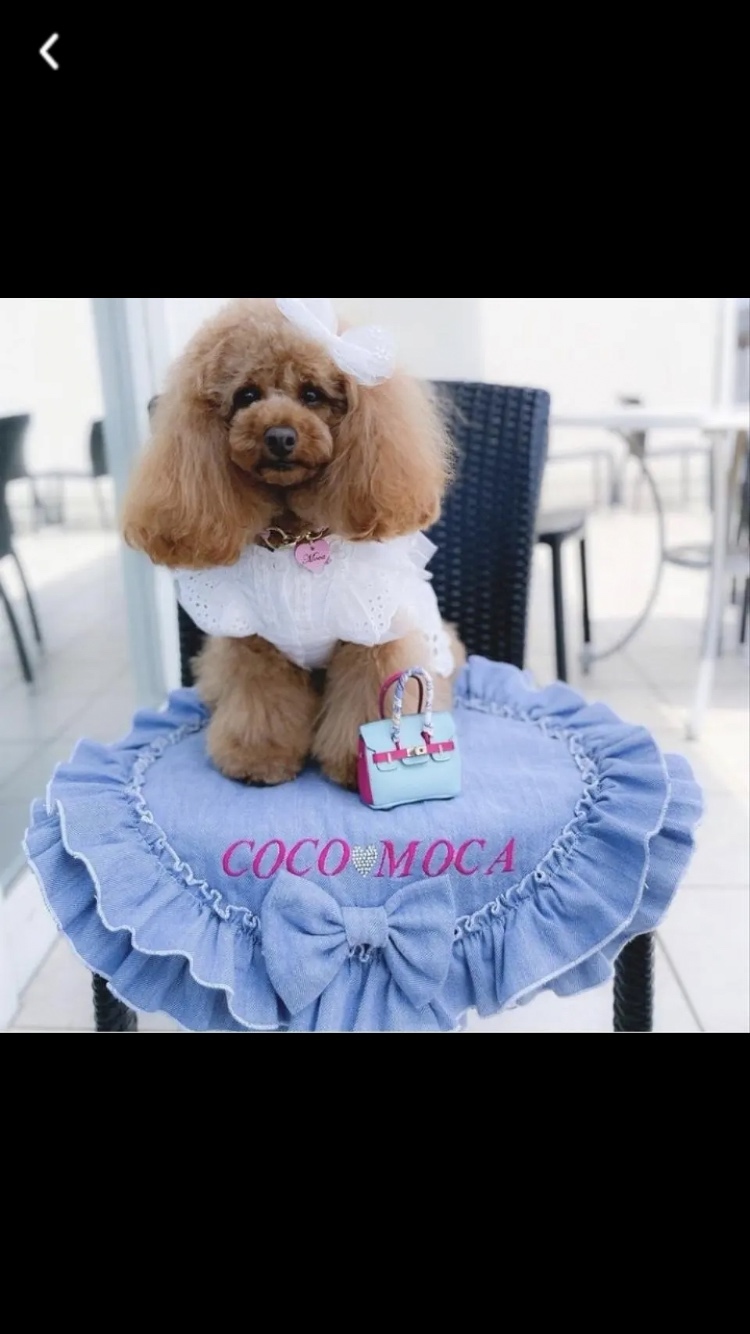 ともこ様✨️御専用カフェマット(2枚) カフェマット | LAPINICA