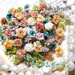 高品質❣️かすみ草ドライフラワー オータムガーデンcolor 60粒～／レジン封入などに 小花アクセサリーガラスドームなどに