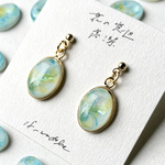 花の窓辺　高潔