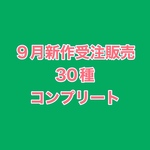 【9月受注販売品】全30種　コンプリート　デザインペーパー　 コラージュシート