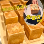 【送料無料】夏の大特価!!BASE+1お楽しみスペシャルＢＯＸ➕新作「バジルとオレガノのトマトソース&チーズキューブトースト」1個おまけ付き