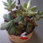 mamerim様オーダー依頼品