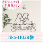 rika-t1029様